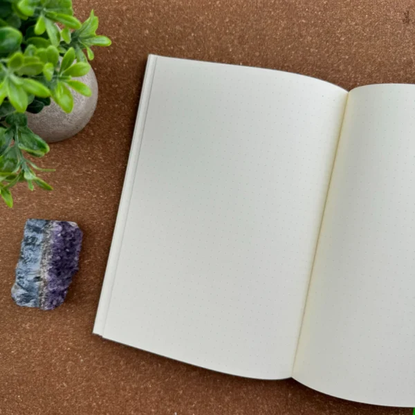 midori md notebook journal dot grid a5
